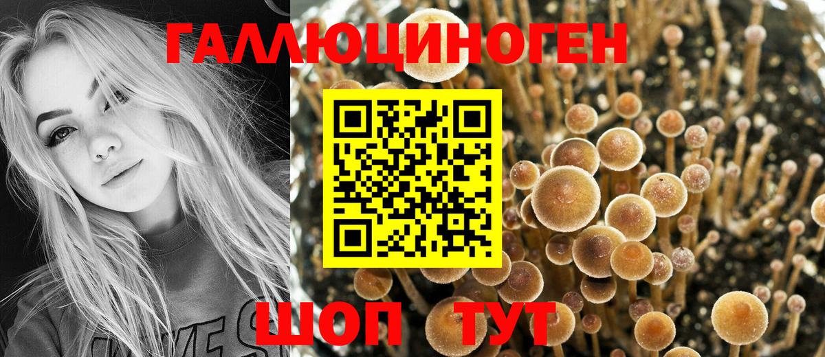 Псилоцибиновые грибы Magic Shrooms Карталы