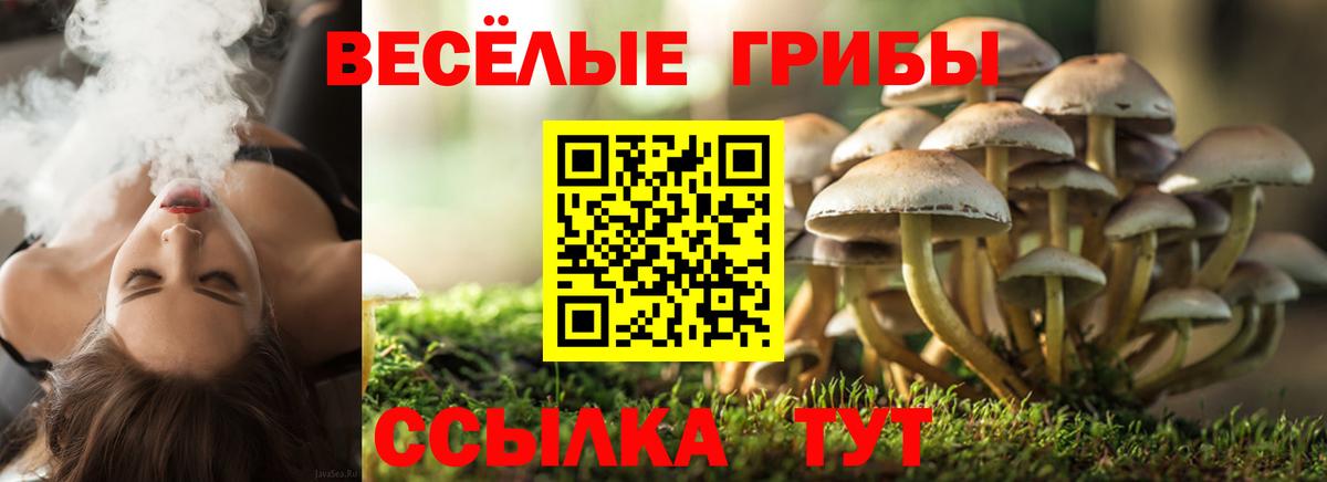 Карталы  Галлюциногенные грибы мицелий  Вход с VPN  Псилоцибиновые грибы Magic Shrooms 